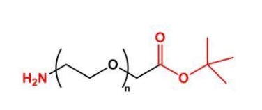 NH2-PEG-COOtBu COOtBu-PEG-NH2  氨基聚乙二醇叔丁酯