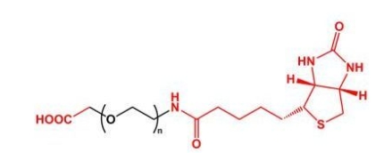 Biotin Peg Cooh Cooh Peg Bn Udp Mof