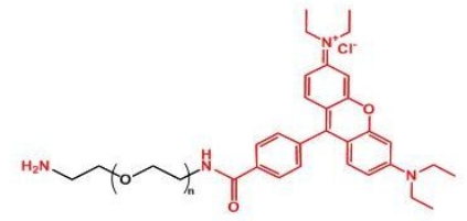 NH2-PEG-Rhodamine RB-PEG-NH2 罗丹明聚乙二醇氨基 