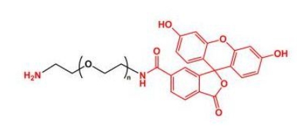 NH2-PEG-FITC Amine-PEG-FITC  荧光素聚乙二醇氨基 