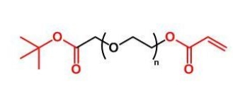 COOtBu-PEG-AC COOtBu-PEG-Acrylate 叔丁酯聚乙二醇丙烯酸酯