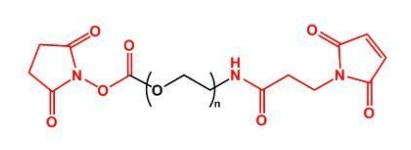 NHS-PEG-MAL MAL-PEG-NHS 活性酯聚乙二醇马来酰亚胺