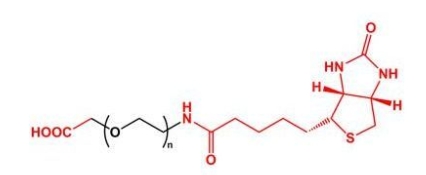 Biotin-PEG-COOH COOH-PEG-BN  羧基聚乙二醇生物素