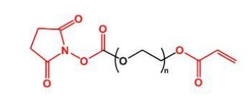 NHS-PEG-Acrylate AC-PEG-NHS 活性酯聚乙二醇丙烯酸酯
