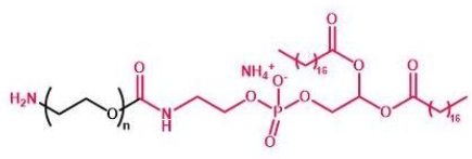 NH2-PEG-DSPE DSPE-PEG-Amine  磷脂聚乙二醇氨基