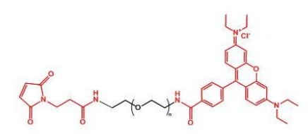 Rhodamine-PEG-MAL MAL-PEG-Rhodamine  罗丹明聚乙二醇马来酰亚胺