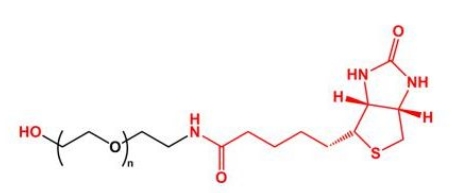  HO-PEG-Biotin Biotin-PEG-OH  羟基聚乙二醇生物素