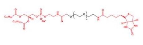 DSPE-PEG-Biotin Biotin-PEG-DSPE 磷脂聚乙二醇生物素