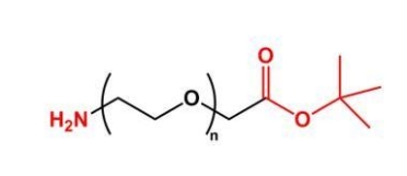 NH2-PEG-COOtBu COOtBu-PEG-NH2  氨基聚乙二醇叔丁酯