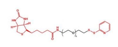 OPSS-PEG-Biotin Biotin-PEG-OPSS 生物素聚乙二醇巯基吡啶