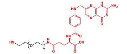 SH-PEG-FA SH-PEG-Folate  叶酸聚乙二醇巯基
