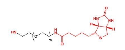 SH-PEG-Biotin Biotin-PEG-SH 巯基聚乙二醇生物素