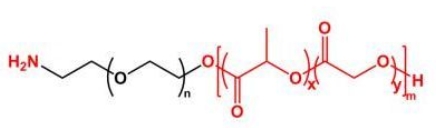 PLGA-PEG-NH2 NH2-PEG-PLGA  聚乳酸-羟基乙酸共聚物聚乙二醇氨基
