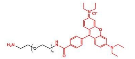 NH2-PEG-Rhodamine RB-PEG-NH2  罗丹明聚乙二醇氨基