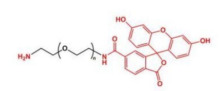 NH2-PEG-FITC Amine-PEG-FITC  荧光素聚乙二醇氨基 