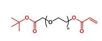 COOtBu-PEG-AC COOtBu-PEG-Acrylate  叔丁酯聚乙二醇丙烯酸酯