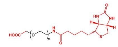 Biotin-PEG-COOH COOH-PEG-BN 羧基聚乙二醇生物素