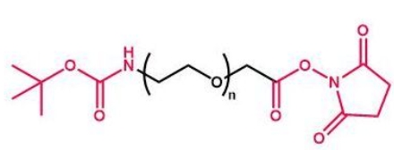 tBoc-NH-PEG-NHS NHS-PEG-Boc  叔丁氧羰基聚乙二醇活性酯 