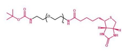 Boc-NH-PEG-Biotin  叔丁氧羰基聚乙二醇生物素