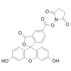 FITC-NHS；CAS:92557-80-7；5-羧基荧光素琥珀酰亚胺酯