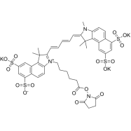 Sulfo-Cy5.5 NHS ester；Sulfo-Cy5.5琥珀酰亚胺酯