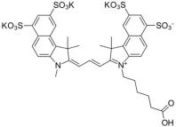 Sulfo Cy7 NHS ester;1603861-95-5;磺酸基CY7 琥珀酰亚胺酯