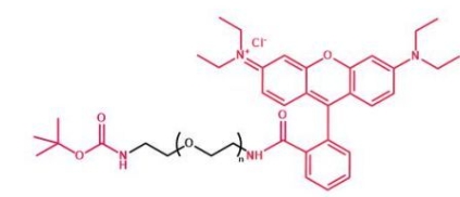 Boc-NH-PEG-RB Boc-NH-PEG-Rhodamine B  叔丁氧羰基聚乙二醇罗丹明