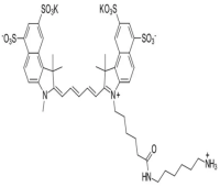 Sulfo CY5.5 NH2；2183440-46-0；Sulfo-Cyanine5.5 amine
