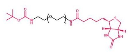 Boc-NH-PEG-Biotin  叔丁氧羰基聚乙二醇生物素