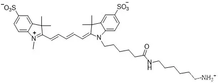 Sulfo-Cy3 NHS ester；磺化Cy3-N-羟基琥珀酰亚胺酯
