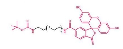 Boc-NH-PEG-FITC  叔丁氧羰基聚乙二醇荧光素