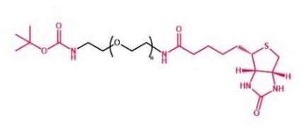 Boc-NH-PEG-Biotin  叔丁氧羰基聚乙二醇生物素