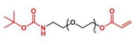  BOC-NH-PEG-AC AC-PEG-NH-BOC  叔丁氧羰基聚乙二醇丙烯酸酯