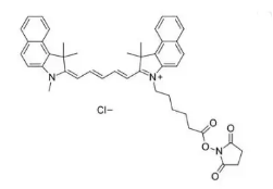 Cy5.5 NHS ester；1469277-96-0；CY5.5琥珀酰亚胺脂