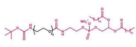 Boc-NH-PEG-DSPE tBoc-NH-PEG-DSPE  叔丁氧羰基聚乙二醇磷脂