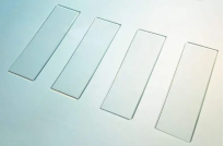 链霉亲和素修饰玻片；Streptavidin coated glass slides