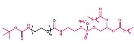  Boc-NH-PEG-DSPE tBoc-NH-PEG-DSPE  叔丁氧羰基聚乙二醇磷脂