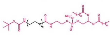 Boc-NH-PEG-DSPE tBoc-NH-PEG-DSPE  叔丁氧羰基聚乙二醇磷脂