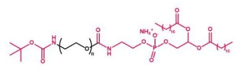 Boc-NH-PEG-DSPE tBoc-NH-PEG-DSPE  叔丁氧羰基聚乙二醇磷脂