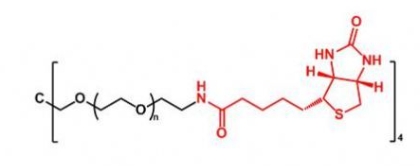  4ARM-PEG-Biotin 4ARM-PEG-BN  四臂聚乙二醇生物素
