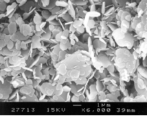 六方氮化硼纳米片5um；Boron nitride nanoplates