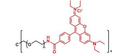 4ARM-PEG-Rhodamine 4ARM-PEG-RB  四臂聚乙二醇罗丹明