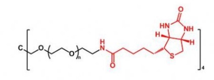 4ARM-PEG-Biotin 4ARM-PEG-BN  四臂聚乙二醇生物素 