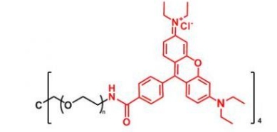 4ARM-PEG-Rhodamine 4ARM-PEG-RB  四臂聚乙二醇罗丹明