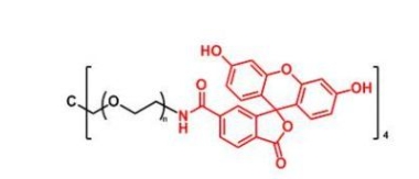 4ARM-PEG-FITC 4Arm-PEG-Fluoresein  四臂聚乙二醇荧光素