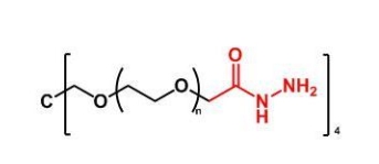 4Arm-PEG-Hydrazide  四臂聚乙二醇酰肼 