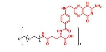 4ARM-PEG-Folate 4ARM-PEG-FA  四臂聚乙二醇叶酸