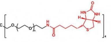 4ARM-PEG-Biotin 4ARM-PEG-BN  四臂聚乙二醇生物素