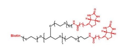 8ARM-PEG-Biotin 8ARM-PEG-BN  八臂聚乙二醇生物素