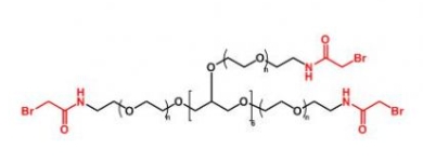  8ARM-PEG-Bromide  八臂聚乙二醇酰胺溴